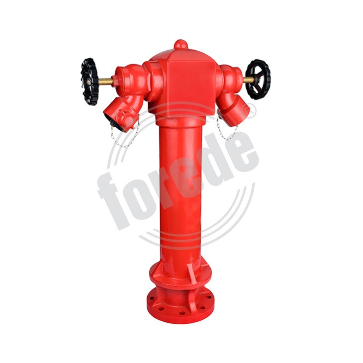 2 Way Wet Pillar Fire Hydrant