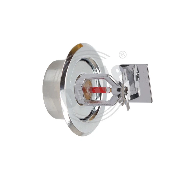 Sprinkler Head Escutcheon And Cover Plate